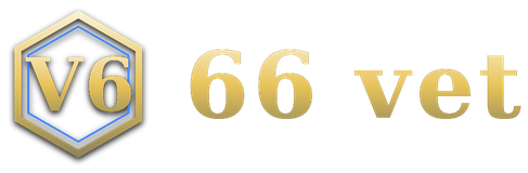 66 vet logo